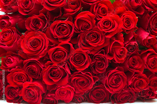 Fototapeta Naklejka Na Ścianę i Meble -  Red roses