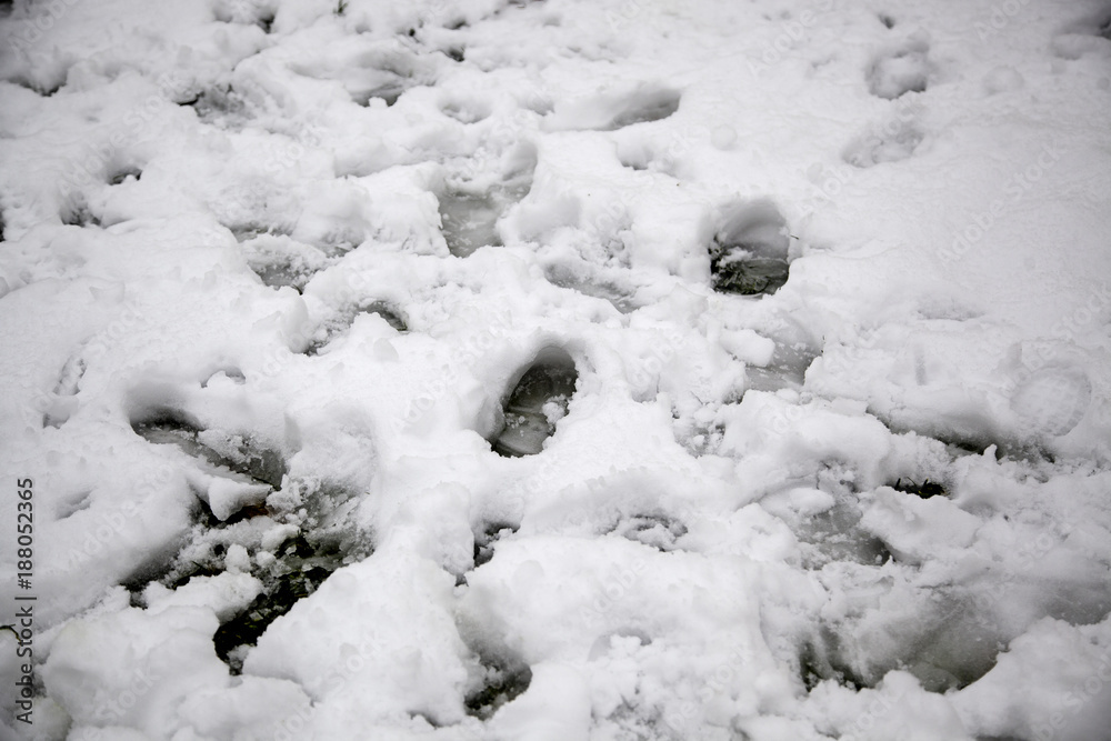 Footprints in snow Footprints in snow