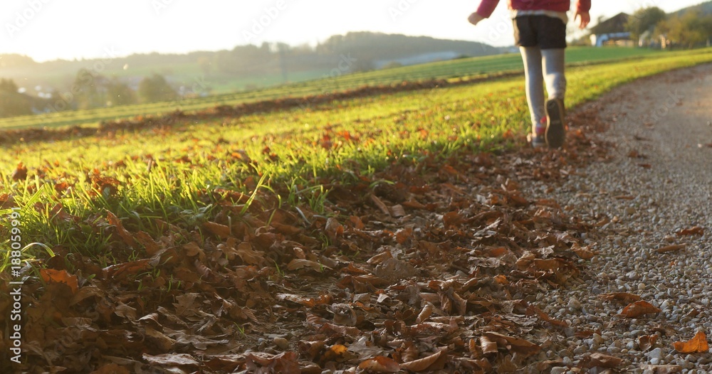 Naklejka premium Herbst