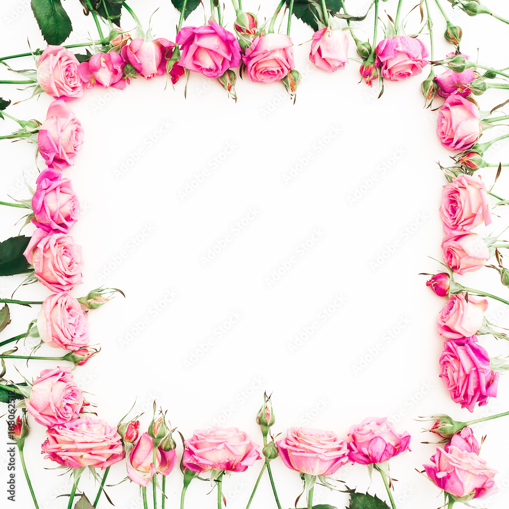 Floral frame of pink roses and buds on white background. Flat lay, Top view.