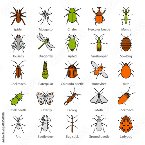 Insects color icons set