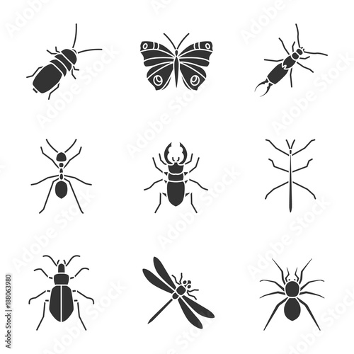Insects glyph icons set © bsd studio