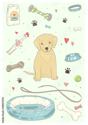 Hand drawn color doodle dog and puppy stuff and supply .Vecor illustration