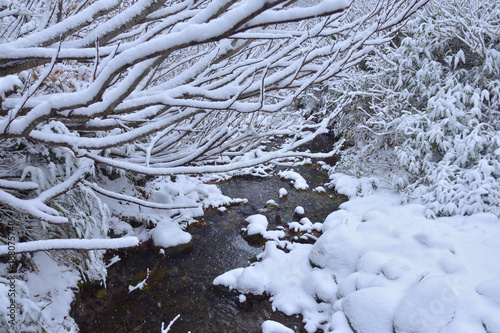 雪に覆われた大雪高原の風景 © Keni