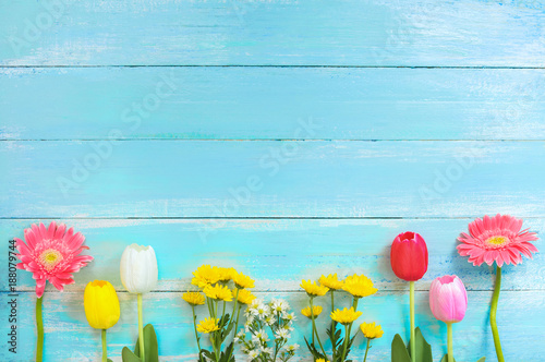 Different kinds of colorful flowers in line on blue wooden background. top view and border design,  flower of spring or summer background. photo