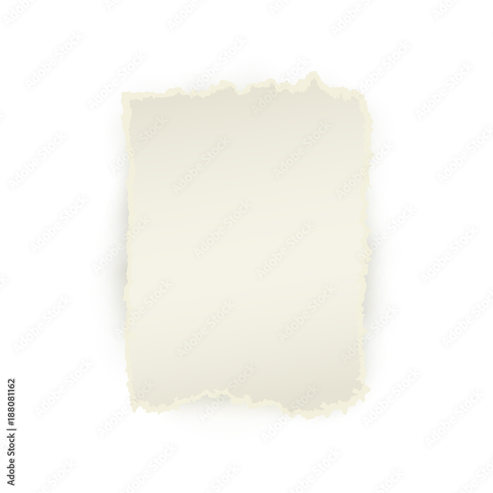Vector set of torn paper set. Different square shape of blank scraps. Notebook sheets with ripped edges for your design. Realistic isolated illustration on a white background. Vector set of torn paper set. Different square shape of blank scraps. Notebook sheets with ripped edges for your design. Realistic isolated illustration on a white background.