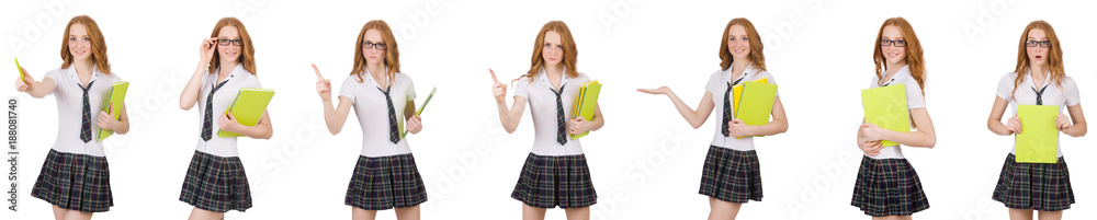 Schoolgirl isolated on the white Schoolgirl isolated on the white