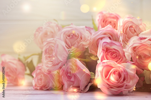 light pink roses photo