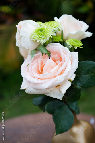 Beautiful of pale pink red roses flower. For a wedding birthday Valentine's Day. Roses flower background texture. photo