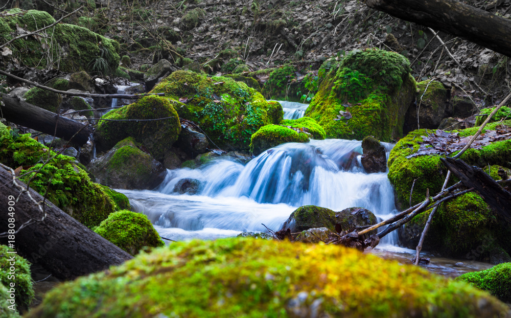 Fototapeta premium Flowing Water