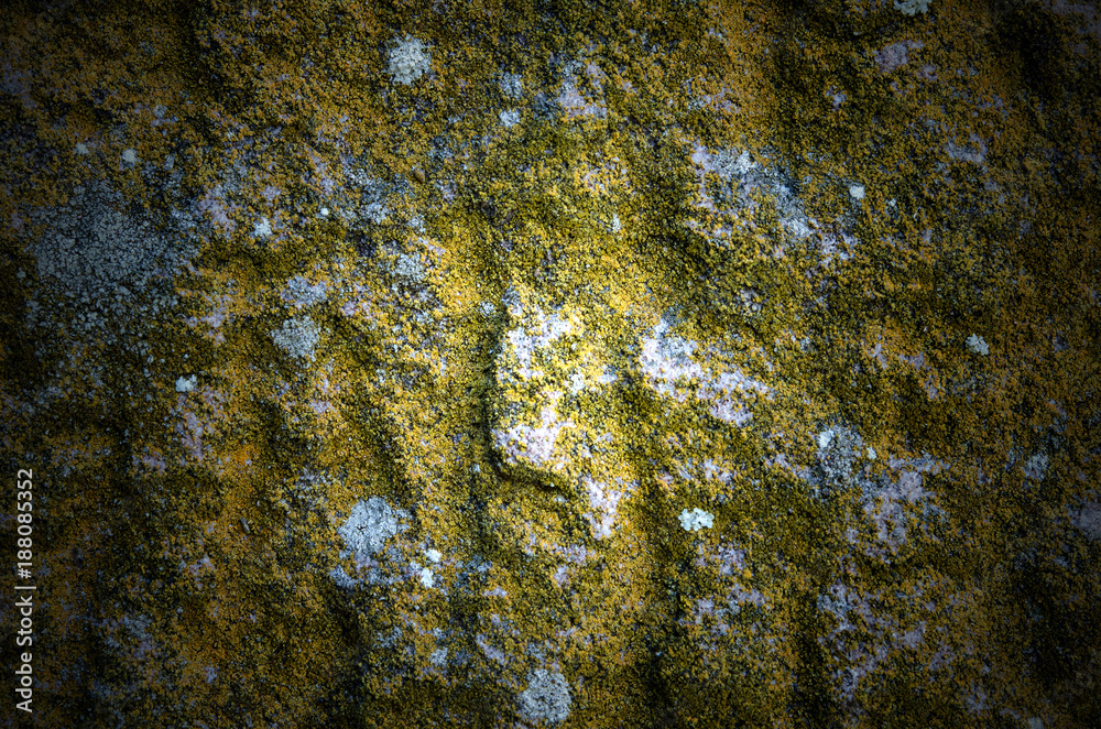 close up the surface stone background, wallpaper.Background of stone wall texture