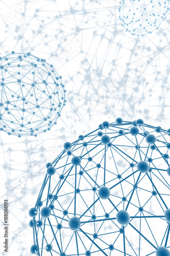 network neurons