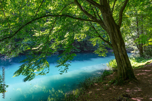 fresh water lake in forest © Orosz György Photogr