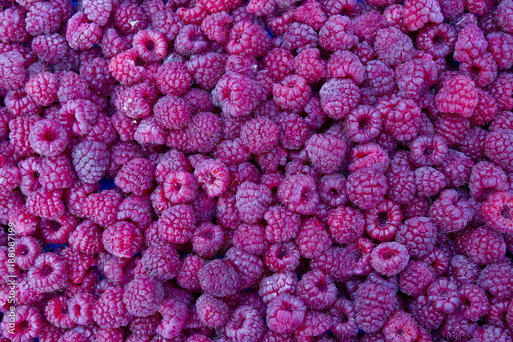 Fresh organic raspberries fruits. Raspberry as background. Selective focus Fresh organic raspberries fruits. Raspberry as background. Selective focus