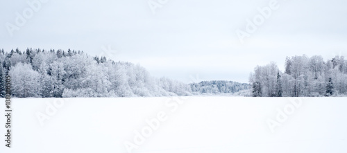 Winter landscape with snow and frost