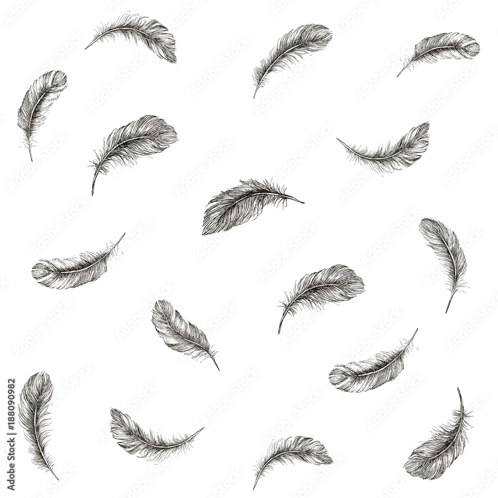 Vector Black and White Feather Pattern Vector Black and White Feather Pattern