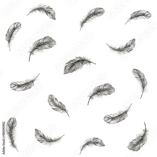 Vector Black and White Feather Pattern © oldesign