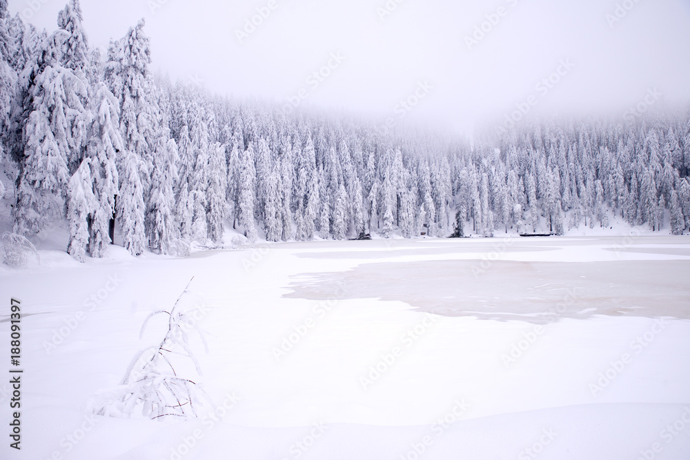 Fototapeta premium Mummelsee im Winter - Schwarzwald 