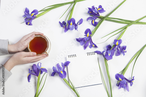 Fototapeta Naklejka Na Ścianę i Meble -  Violet Irises xiphium (Bulbous iris, sibirica) with cup of tea on white background with space for text. Top view, flat . Holiday greeting card for Valentine's Day, Woman's Day, Mother's Day, Easter!