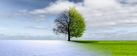 Winter-Frühling