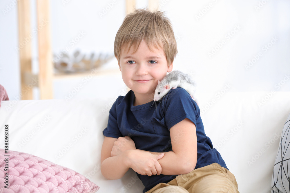 Little boy with cute pet rat on sofa indoors Little boy with cute pet rat on sofa indoors