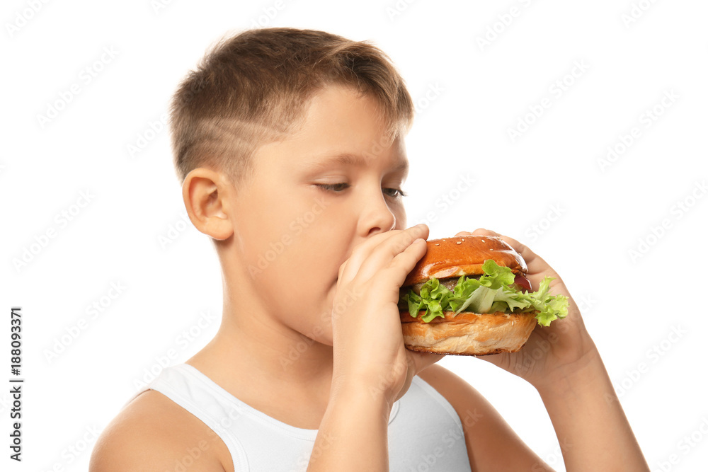Overweight boy eating burger on white background Overweight boy eating burger on white background