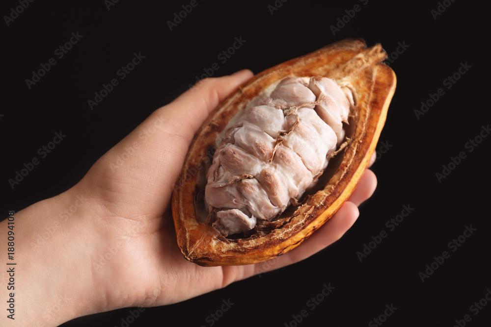 Woman holding cut cocoa pod on black background, closeup