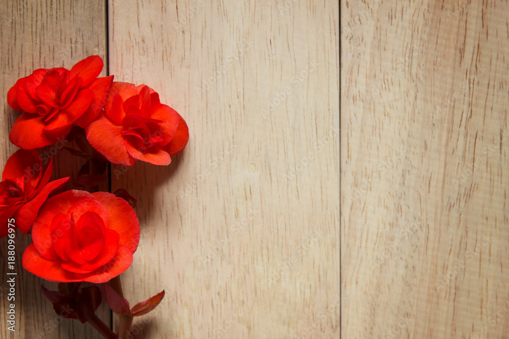 Red rose on wooden background. Image of Valentines day. Red rose on wooden background. Image of Valentines day.