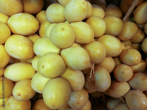 freshly harvested branch with dates Phoenix dactylifera