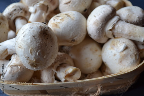 Mushrooms on the dark blue wooden desk. Cooking champignons.