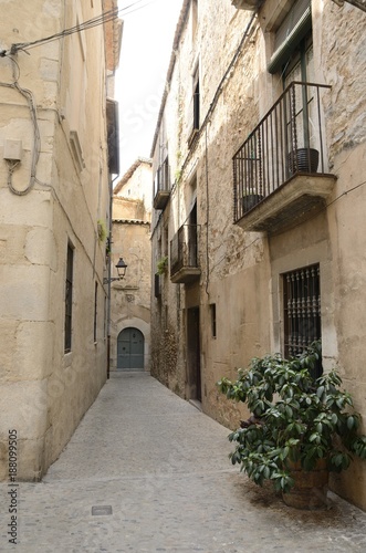 Fototapeta Naklejka Na Ścianę i Meble -  Cobblestone alley in Girona in Girona, Spain