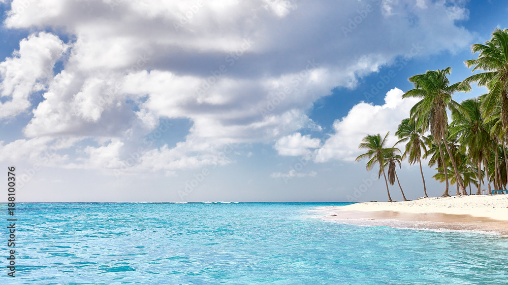 Paradise beach. Tropical paradise, white sand, beach, palm trees and clear water