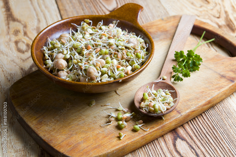 Fresh organic sprouts Fresh organic sprouts