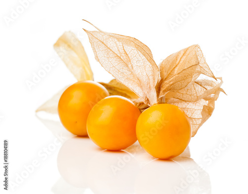 Physalis fruit on white background. Physalis is a genus of flowering plants in the nightshade family Solanaceae