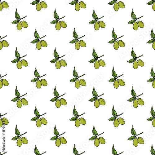 Olive branch seamless pattern. Natural background Design with olives for olive oil or cosmetics products, vector illustration