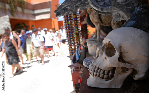 Souvernire Skull for tourists photo