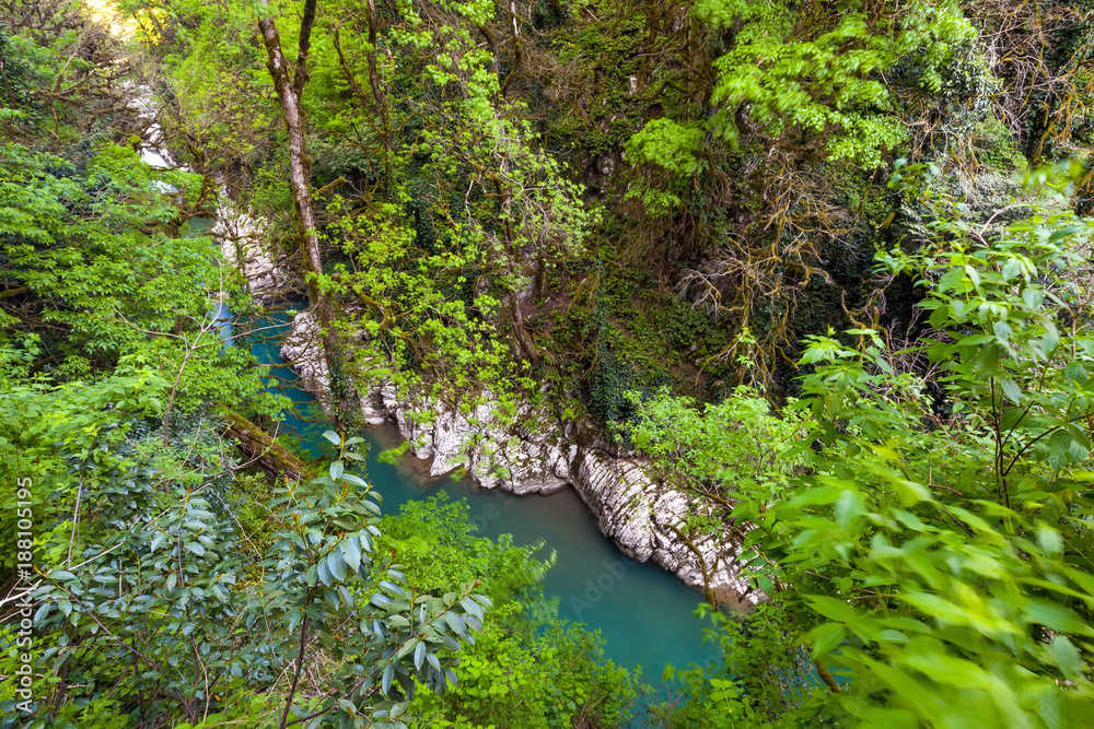 A deep narrow canyon with a turquoise river between rocks covered with lush forest vegetation. Yew and Boxwood Grove, Adler, Sochi, Russia. A deep narrow canyon with a turquoise river between rocks covered with lush forest vegetation. Yew and Boxwood Grove, Adler, Sochi, Russia.