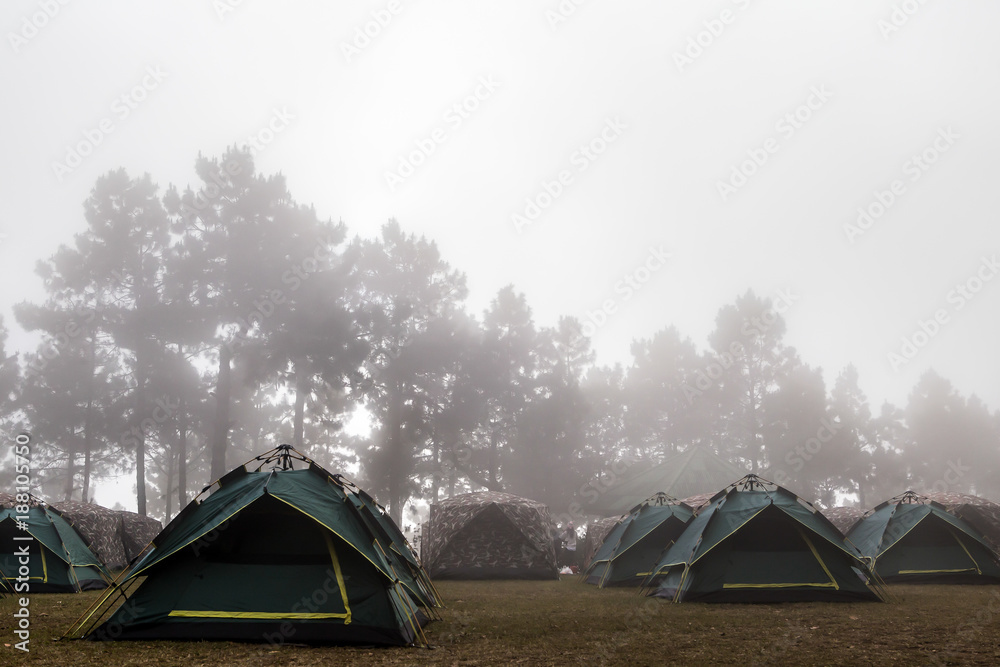 Tents camping with fog on mountain
