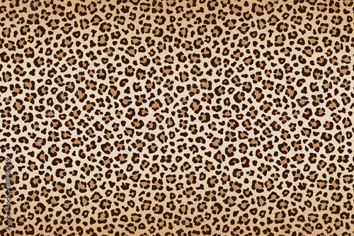 Leopard texture, brown beige with darker border. Vector