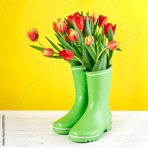 Red tulips in rubber boots