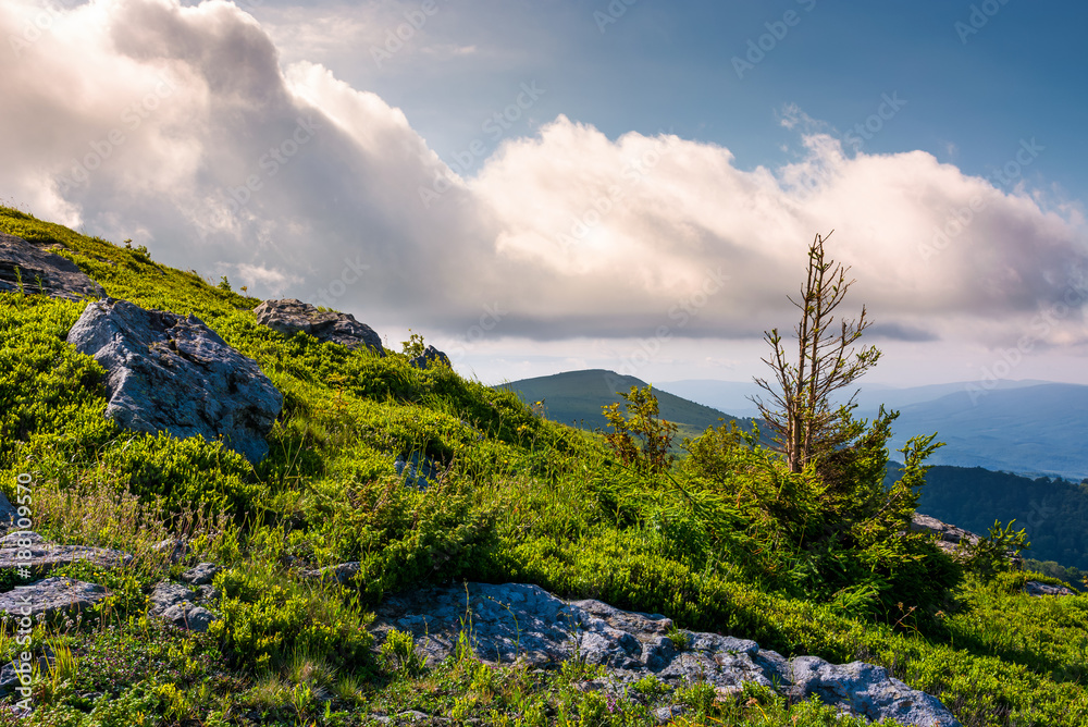 grassy slopes with rocks on a cloudy day. beautiful nature scenery in summer mountains grassy slopes with rocks on a cloudy day. beautiful nature scenery in summer mountains
