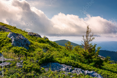 grassy slopes with rocks on a cloudy day. beautiful nature scenery in summer mountains