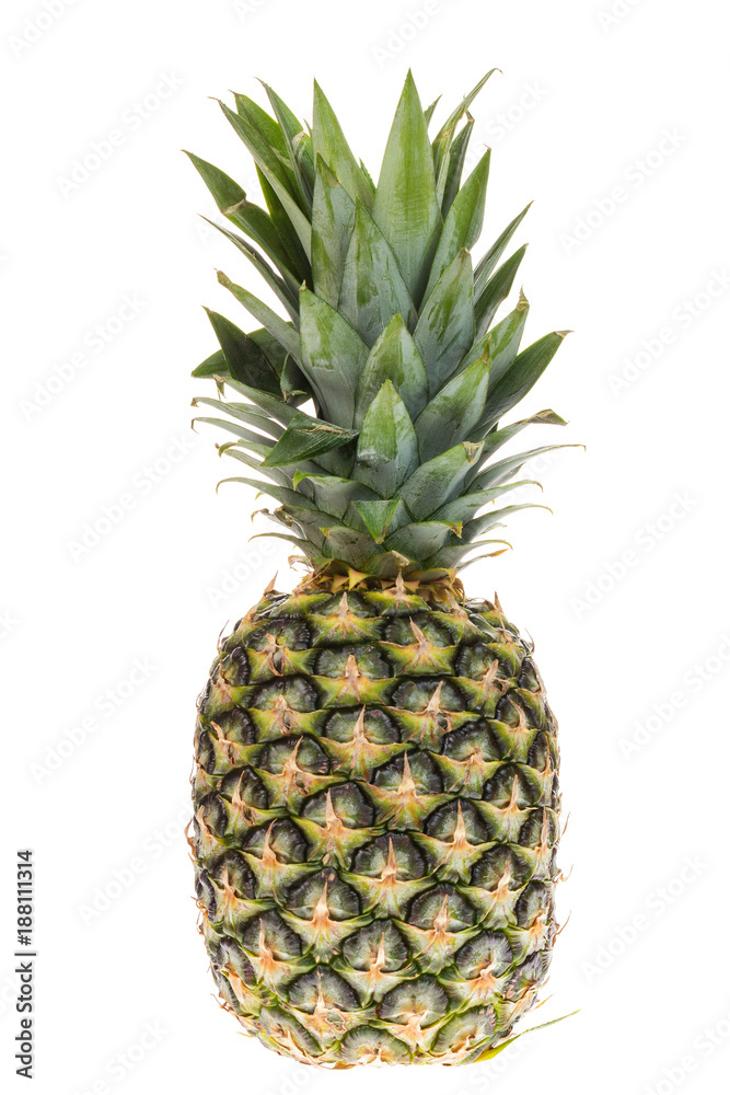 Ripe whole pineapple isolated on white background. Ripe whole pineapple isolated on white background.