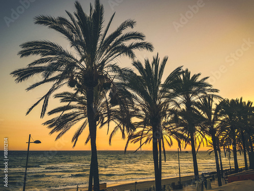 Sunset on the beach. Palm trees