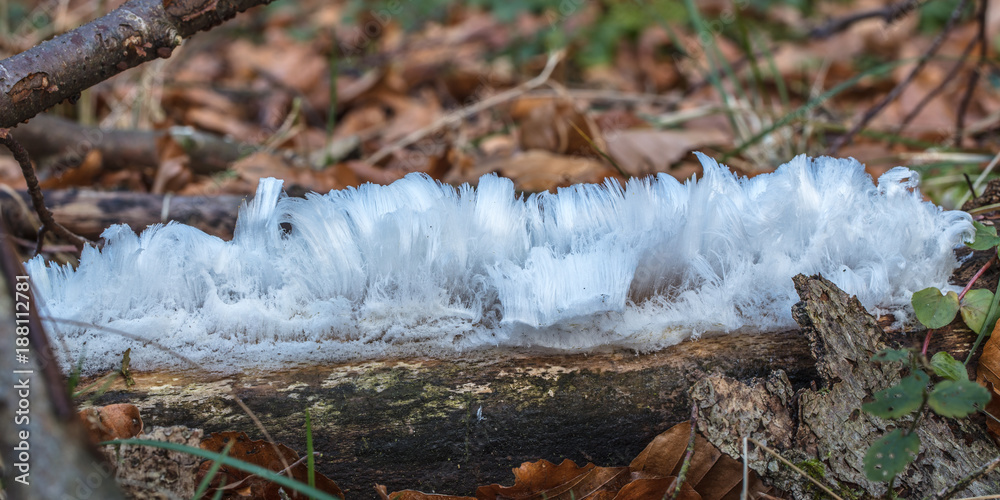 eis Stock Photo | Adobe Stock