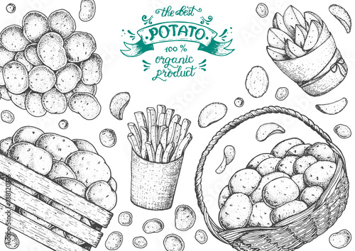 Potato vector illustration. Basket and box of potatoes. French fries, rustic potatoes and chips hand drawn. Engraved style frame.