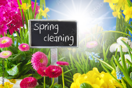 Fototapeta Naklejka Na Ścianę i Meble -  Sunny Spring Flower Meadow, Spring Cleaning