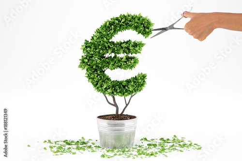 Billede på lærred Potted plant with eur shape. 3D Rendering