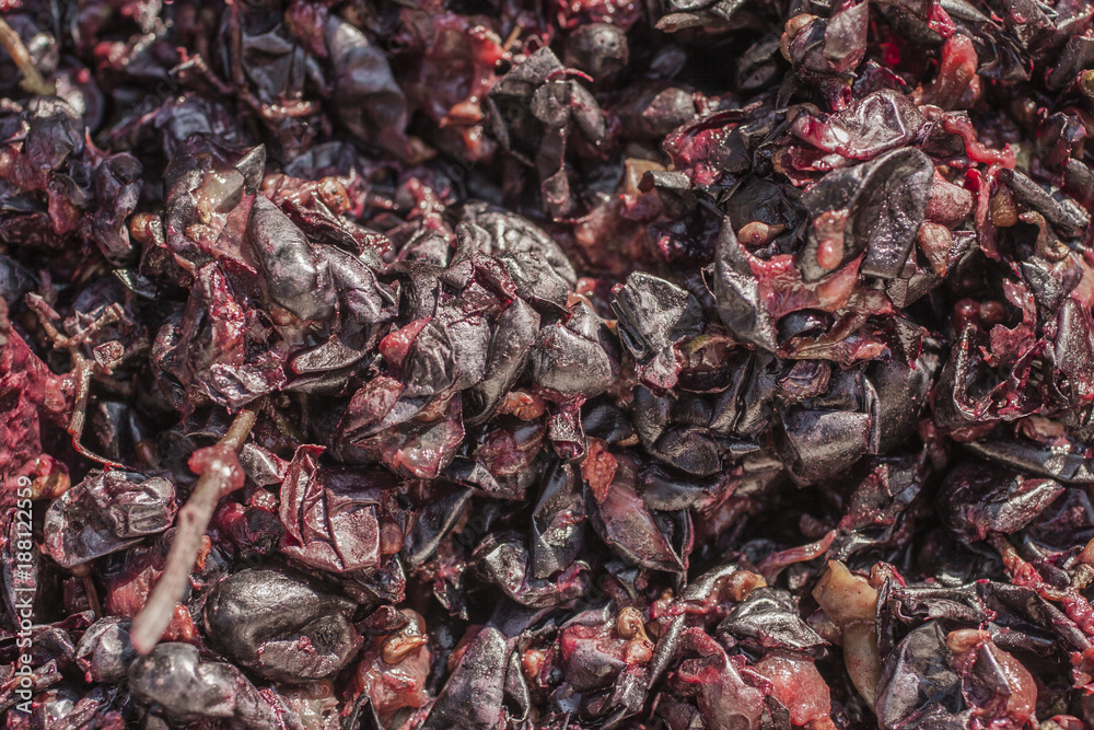 Stockfoto Winemaking. Technology of wine production. The folk