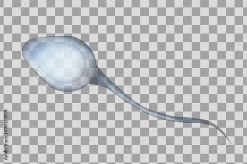 Blue sperm cell vector illustration. 3d spermatozoid isolated on transparent background.